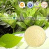 玉竹提取物 OEM加工 质量保证 价格优惠