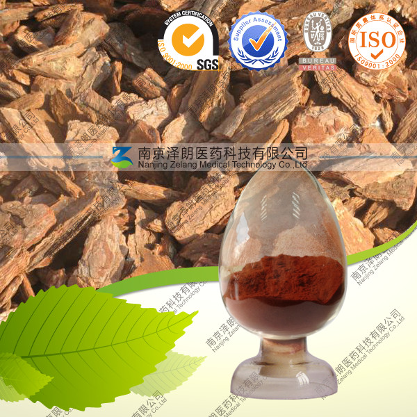 供应松树皮提取物 原花青素 医药保健品原料 厂家直销