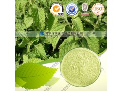 供应冬凌草甲素/28957-04-2，高含量，对照品