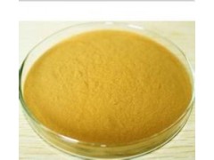 植物提取物哪家强 南京泽朗提供 菊花提取物 OEM代加工