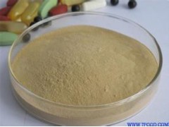 放心工厂提供优质 山药提取物  OEM代加工  量大优惠