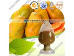 木瓜提取物 OEM加工 价格优惠 质量保证