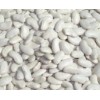 白扁豆提取物 qs工厂生产 OEM加工 价格优惠