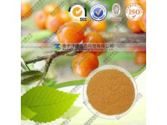 沙棘提取物 OEM加工 价格优惠 质量保证