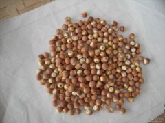 芡实提取物 OEM加工 价格优惠 质量保证 厂家直销