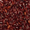 赤小豆提取物 OEM加工 质量保证 价格优惠 厂家直销