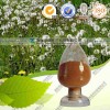 蒲公英提取物 OEM加工 价格优惠 厂家直销