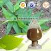 淡竹叶提取物 OEM加工 价格优惠 质量保证