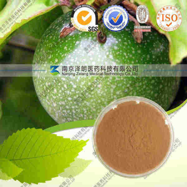 西番莲浓缩粉 OEM加工 价格优惠 质量保证