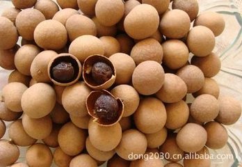 桂圆浓缩粉 厂家直销（现货）
