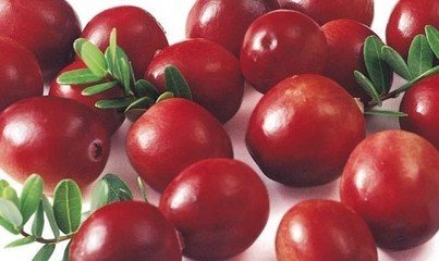 蔓越莓浓缩粉 OEM加工 价格优惠 厂家直销