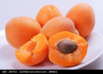 杏浓缩粉 OEM加工 价格优惠 厂家直销