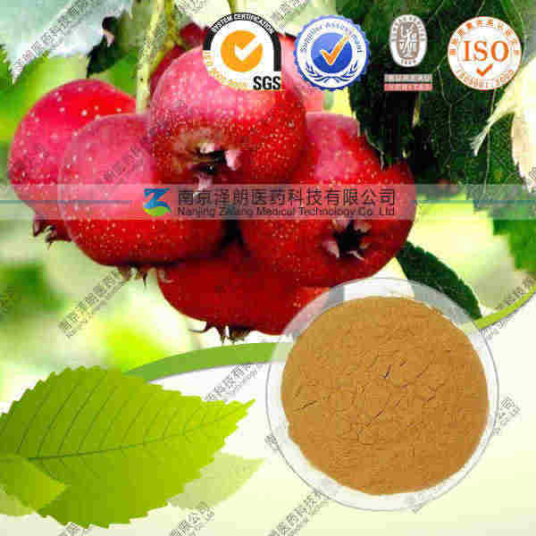 山楂浓缩粉 OEM加工 价格优惠 质量保证 厂家直销