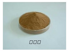 润喉清热 胖大海提取物 十年植提企业生产 OEM代加工