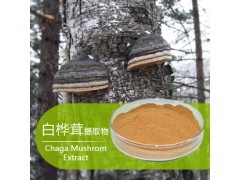优质原料白桦茸提取物浓缩粉萃取物浸膏粉15%多糖