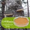 优质原料白桦茸提取物浓缩粉萃取物浸膏粉15%多糖