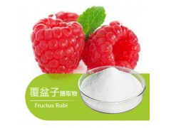 覆盆子提取物复盆子酮/塑身/抗衰老/补肾/调节免疫