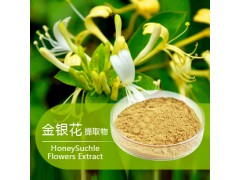 金银花纯粉/提取物/浓缩粉