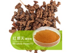 红景天提取物厂家直供