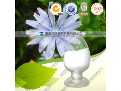 供应菊粉 天然菊苣粉 厂家现货直销