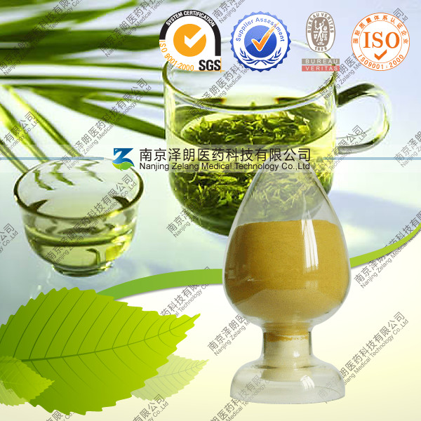 OEM代加工绿茶固体饮料 速溶绿茶粉 QS厂家