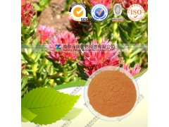 供应低含量红景天苷 3% 厂家库存现货 低价直销