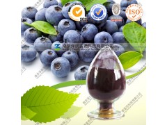 供应蓝莓花青素 25% 国标 厂家现货直销