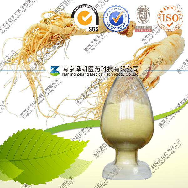 厂家直销人参茎叶总皂苷 10-80% 工厂库存