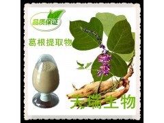 供应葛根提取物 葛根浸膏粉 葛根黄酮 厂家大量现货