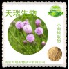 供应小蓟提取物 小蓟浸膏粉 小蓟粉 厂家大量现货