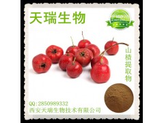 供应山楂提取物 山楂黄酮 山楂粉 厂家大量现货