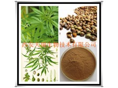 供应火麻仁提取物 火麻仁浓缩粉 厂家大量现货