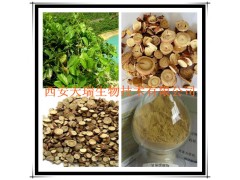 供应甘草提取物 甘草浸膏粉 甘草酸 厂家大量现货