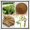 供应白芷提取物 白芷浸膏粉 欧前胡素 厂家大量现货