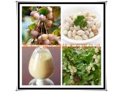 供应白果提取物 白果浓缩粉 厂家大量现货