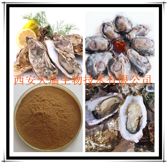 牡蛎提取物 牡蛎粉 厂家大量现货