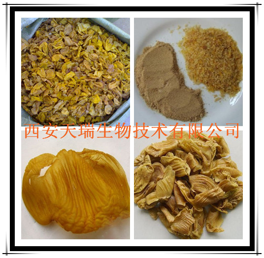 鸡内金提取物