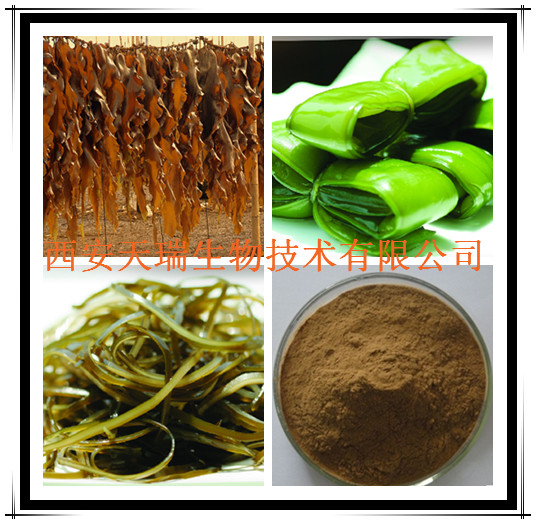 昆布提取物