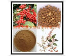 郁李仁提取物 郁李仁浸膏粉 厂家大量现货