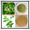 金银花提取物 绿原酸 厂家大量现货