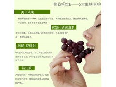 葡萄籽原花青素95%  葡萄籽提取物  抗氧化