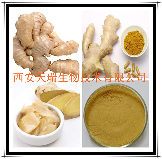 生姜提取物