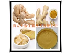 生姜提取物 姜辣素 厂家大量现货