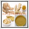 生姜提取物 姜辣素 厂家大量现货
