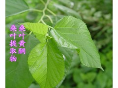 桑叶提取物  桑叶黄酮
