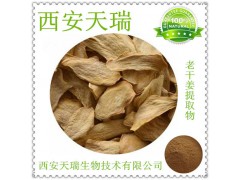 干姜提取物 老干姜提取物 厂家大量现货