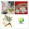 白芍甙  白芍提取物