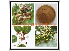 枳椇子提取物 拐枣提取物 厂家大量现货