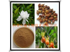 栀子提取物 厂家大量现货