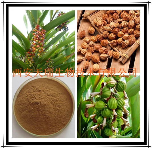 砂仁提取物